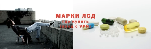 ешки Аркадак