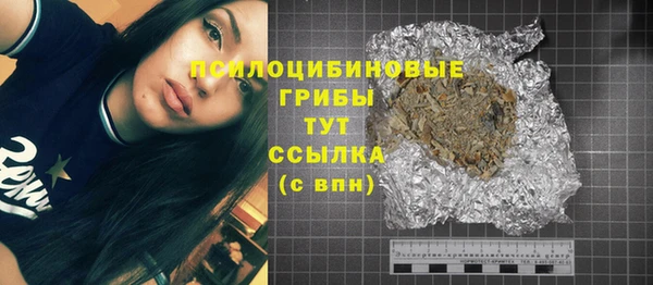 ешки Аркадак