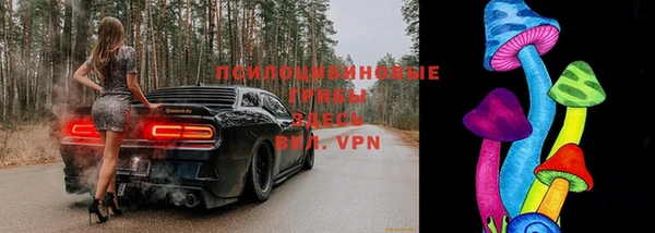 ешки Аркадак