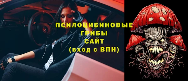 прущий лед Арсеньев