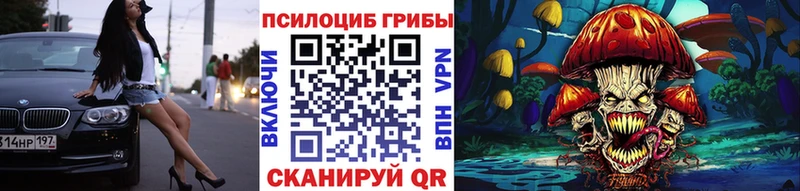 Псилоцибиновые грибы мицелий  Чайковский 